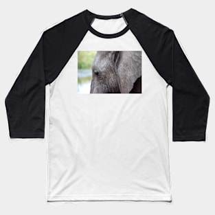 Portrait, African Elephant, Serengeti National Park, Tanzania. Baseball T-Shirt